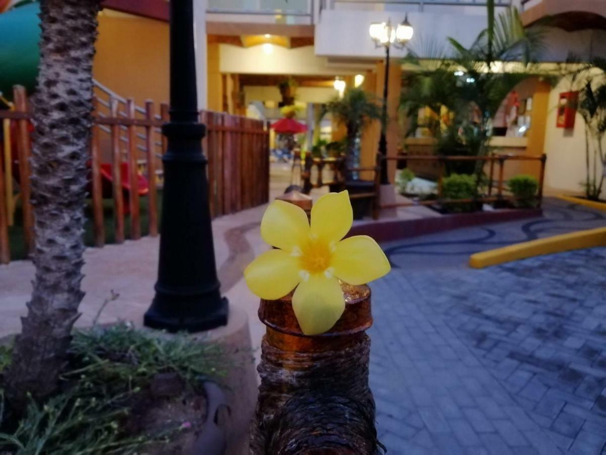 Hotel&Suites Mar y Sol Las Palmas Rincón de Guayabitos Exterior foto